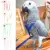 Pet Bird Жгут и Поводок Регулируемый Parrot Bird Жгут Поводок Pet Anti Bite Training Rope Мягкий Портативный Pet Playthings Outdoor
