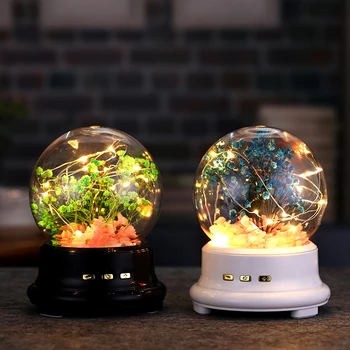 

Dream Music Light ular Card Bluetooth Speaker Eternal Flower Glowing Music with Night Light in Glass