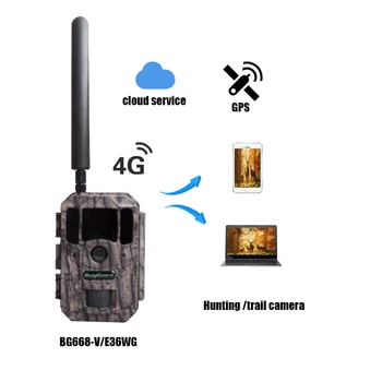 

Bolyguard Hunting Camera Photo Traps 4G GPS 36PM 1080P Night Vision Hunting Traps Wild Trail Camera Wildlife Camera chasse