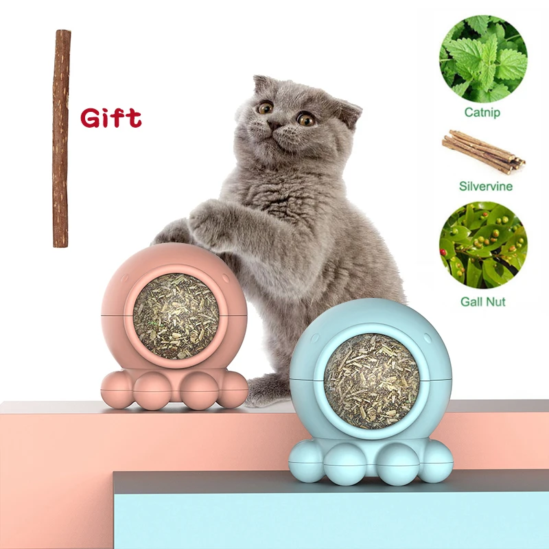 Новинка 2019 натуральная кошачья мята съедобные игрушки милый осьминог в форме