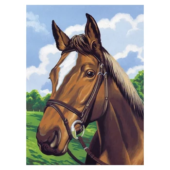 

Paint By Numbers Kits for Adult, DIY Canvas Painting for Adults Beginner-Horse