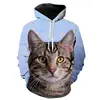 Funny Animal Printed Hoodies 3D Cat Hoodie 2022 Brand Men Women Children Hip Hop Cool Cats Streetwear Sweatshirts Pullover ► Photo 2/6