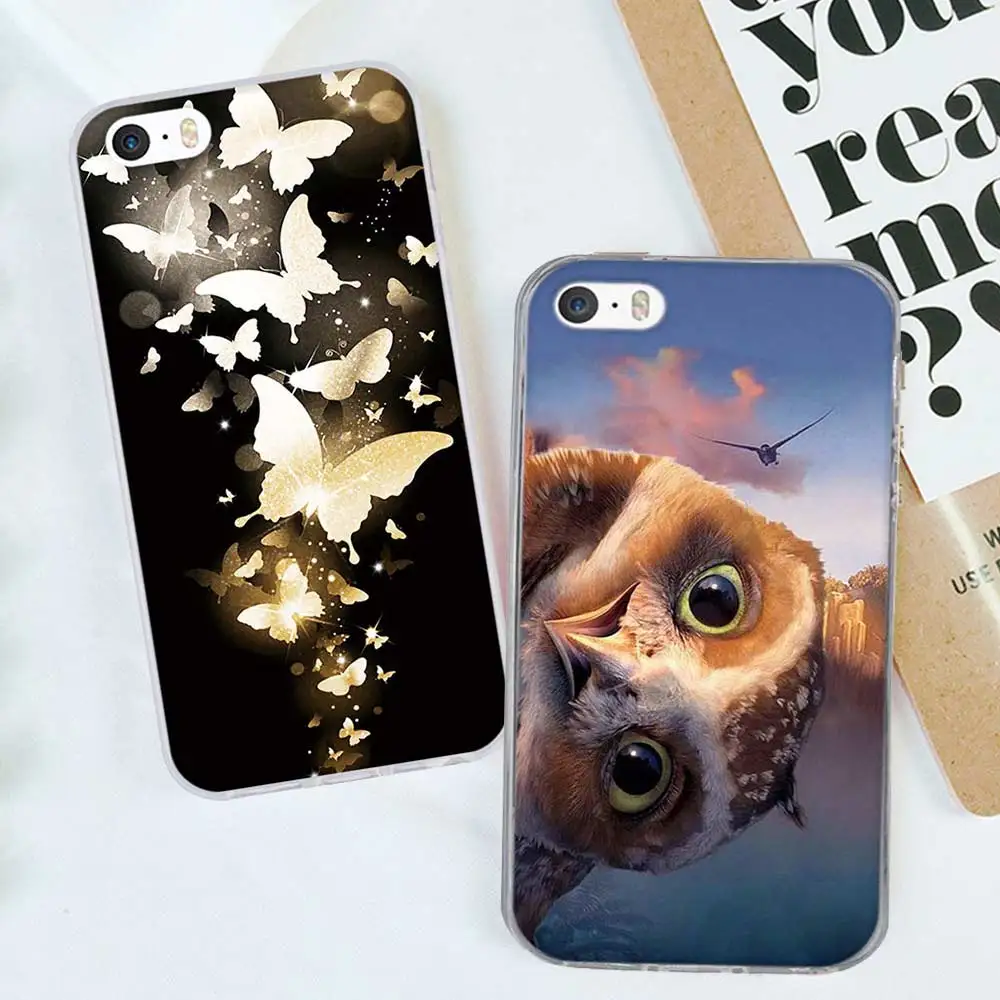 金蝴蝶、猫头鹰-2