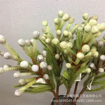 

Sand Algae Pine Cone String Beans Artificial Plant Fruit Decorations and Ornaments Floral Flower Arrangement American