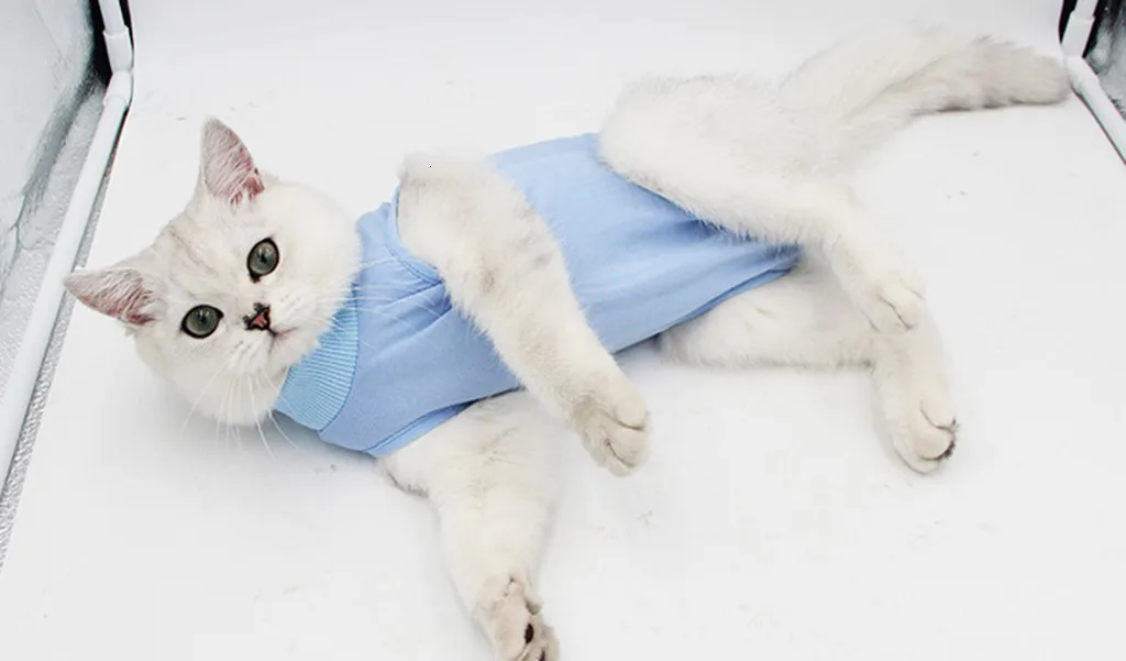 Жилеты для кошек блуза с принтом Кошки Мягкая Хирургическая Одежда для кошек медицинский хирургический костюм для домашних животных рубашка для кошек жилет аксессуары для домашних животных