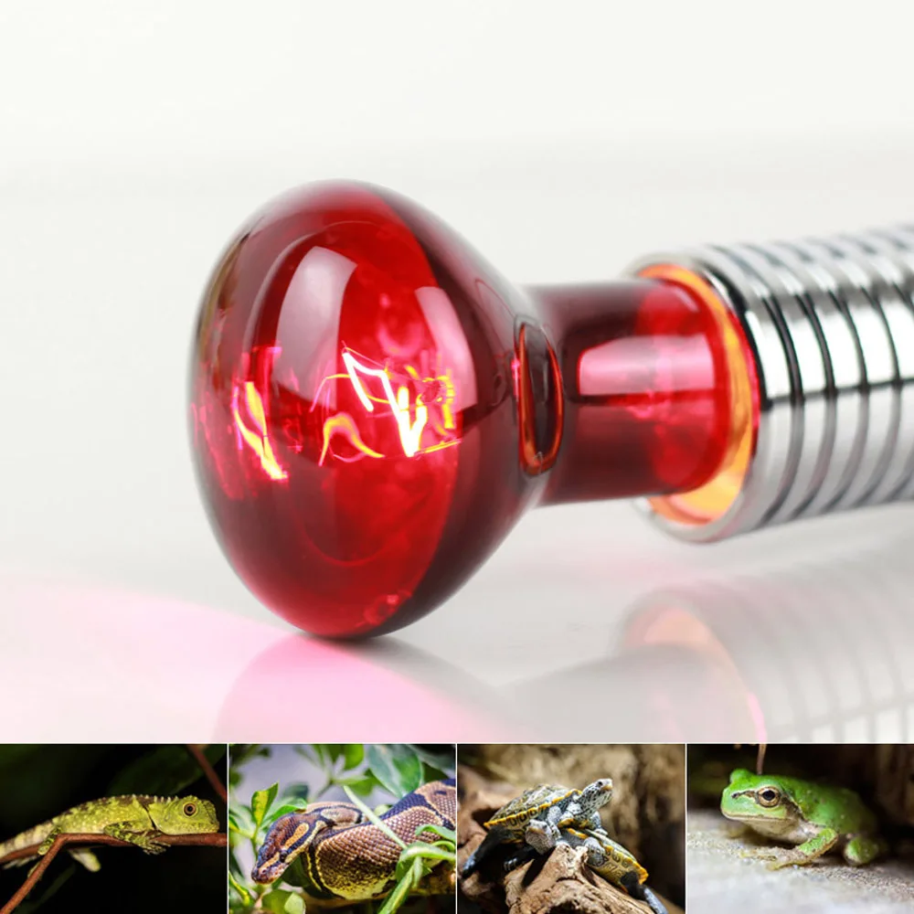 

R63 Infrared Light Bulb Sterilization Heating 60W Crawler Lamp Amphibious Animal Bulb Lizard Tortoise Tortoises Snake 220V