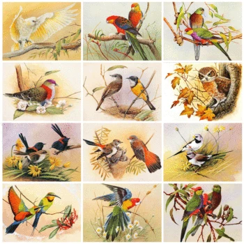 

Evershine 5D DIY Diamond Painting Bird Diamond Embroidery Sale Animals Cross Stitch Kit Rhinestone Picture Home Decoration