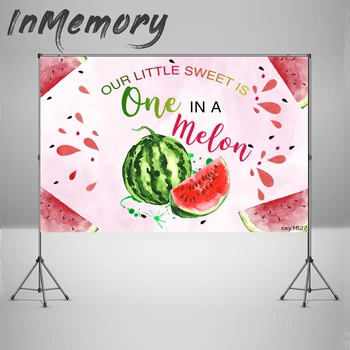 

Watermelon Party Backdrop One in a Melon Birthday Party Photography Background Kids First Birthday Pink Party Banner Photocall