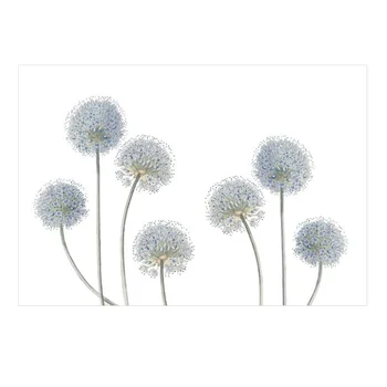 

Wall Sticker Self-adhesive Waterproof Removable Elegant Dandelion Wallpaper Wall Art Decor Wall Decal for Living Room Bedroom Di