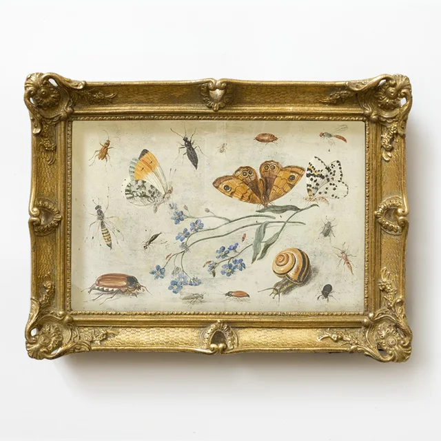 Insect and butterfly decorative painting with French golden embossed frame 5