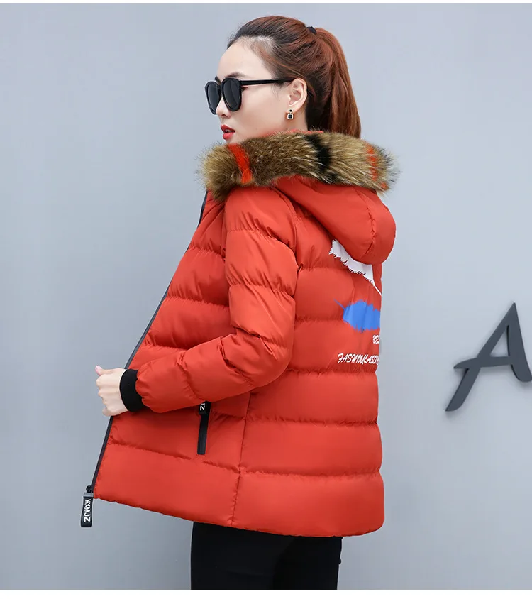 Winter Short Color Large Fur Collar Cotton-padded Clothes Women's Slimming Cotton Coat Winter New Style Small Cotton-Padded