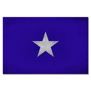 

The Bonnie Blue Flag 150X90CM banner 3x5 FT 100D Polyester brass grommets custom flag, Free Shipping