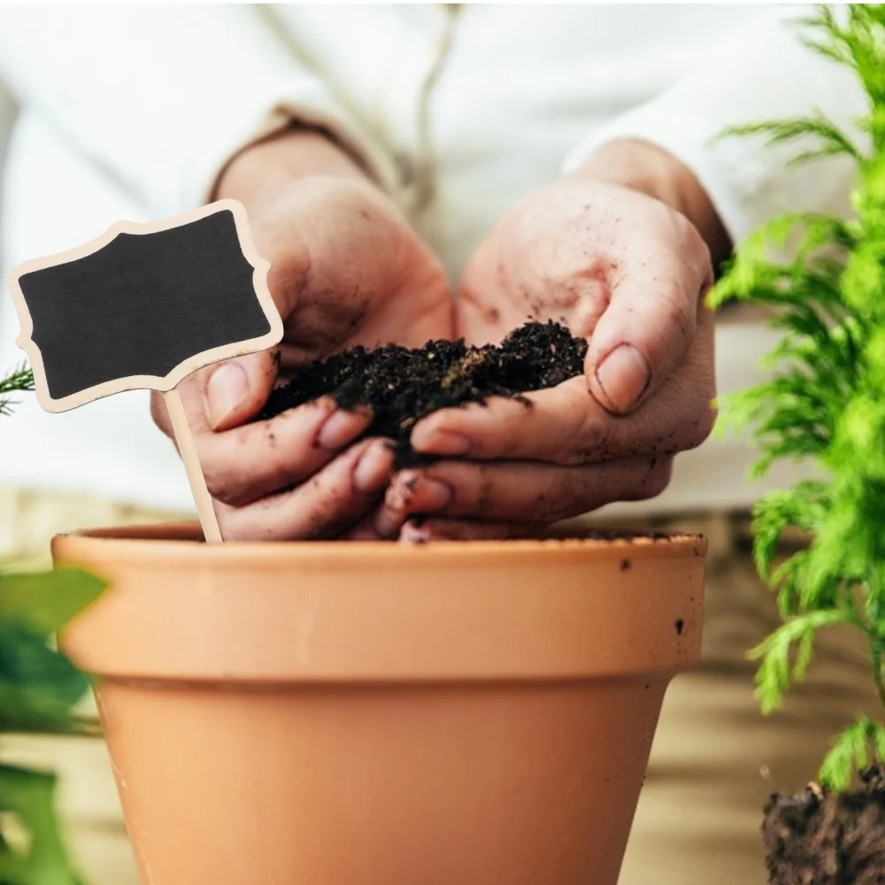 Surenhap 10 Pcs Etiquettes à Planter Tableau Noir Signes Fleurs Et Plantes Tags Décorations de Jardin 