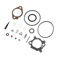 Carburetor Rebuild Kit for Briggs & Stratton Quantum 492495 493762 498260 95AA 2
