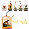 Family pet bird toys talking birds pet birds pet bird cage electric voice control children's toys gift 1