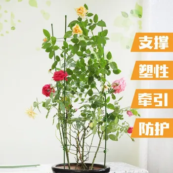 

Prop Rod Plant Protection Leaf Rack Simplicity Fixed Lattice Extendable Garden Strut Outdoor
