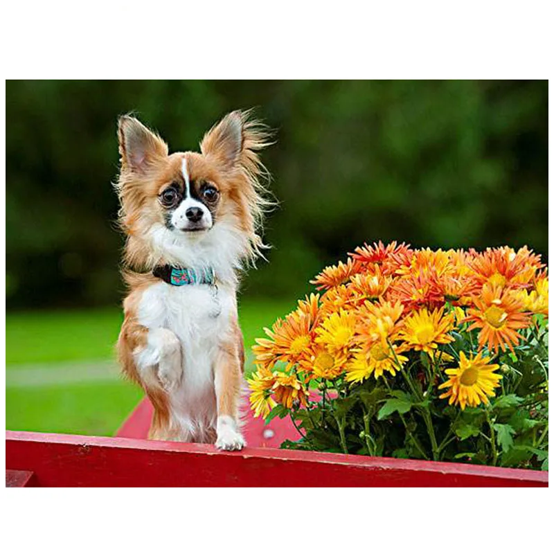 HTB1RFzZXu6sK1RjSsrbq6xbDXXaz