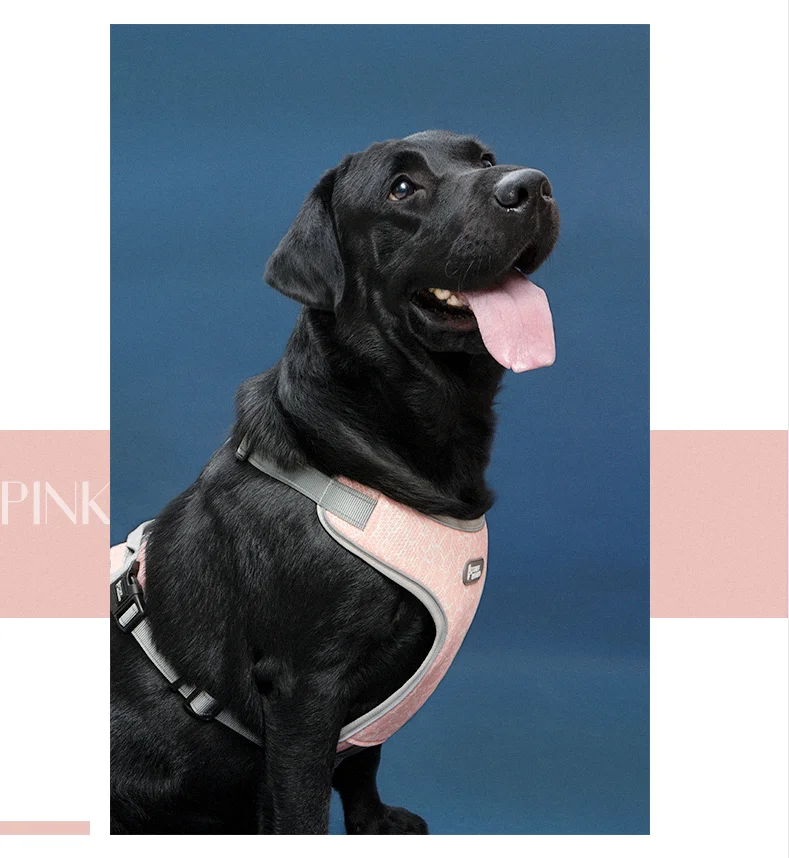 TUFF HOUND, двойная воздушная сетка Drytek, жгут, яркие цвета, не тянет, собачий жгут, дышащая сетка, костюм для маленьких, средних и больших собак