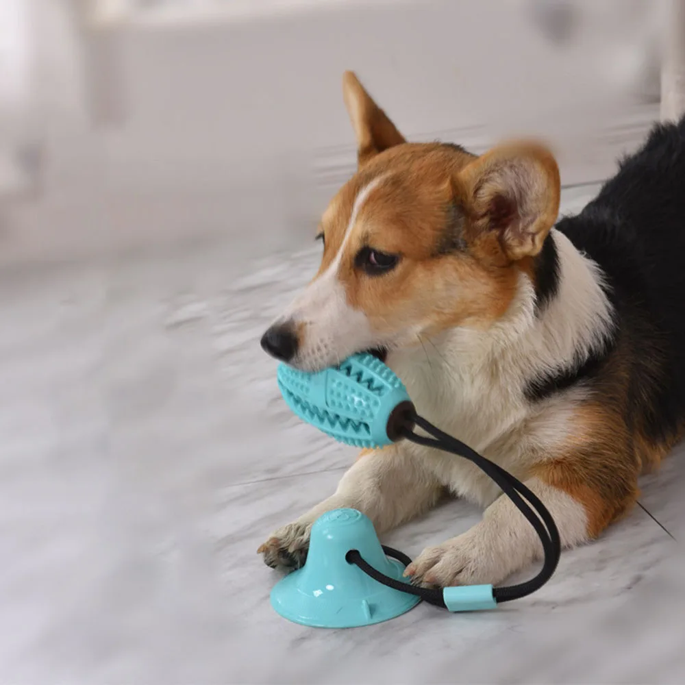 

Pet Training Toys For Cats Dogs Interactive Suction Cup Push Ball Toys Elastic Ropes Pet Tooth Cleaning Chewing IQ Exercise