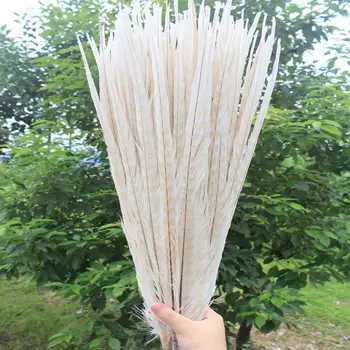 

Hot 500pcs Beautiful White 20-22inches/50-55cm Natural Pheasant Feather Wedding Decoration Party Supplies Feathers