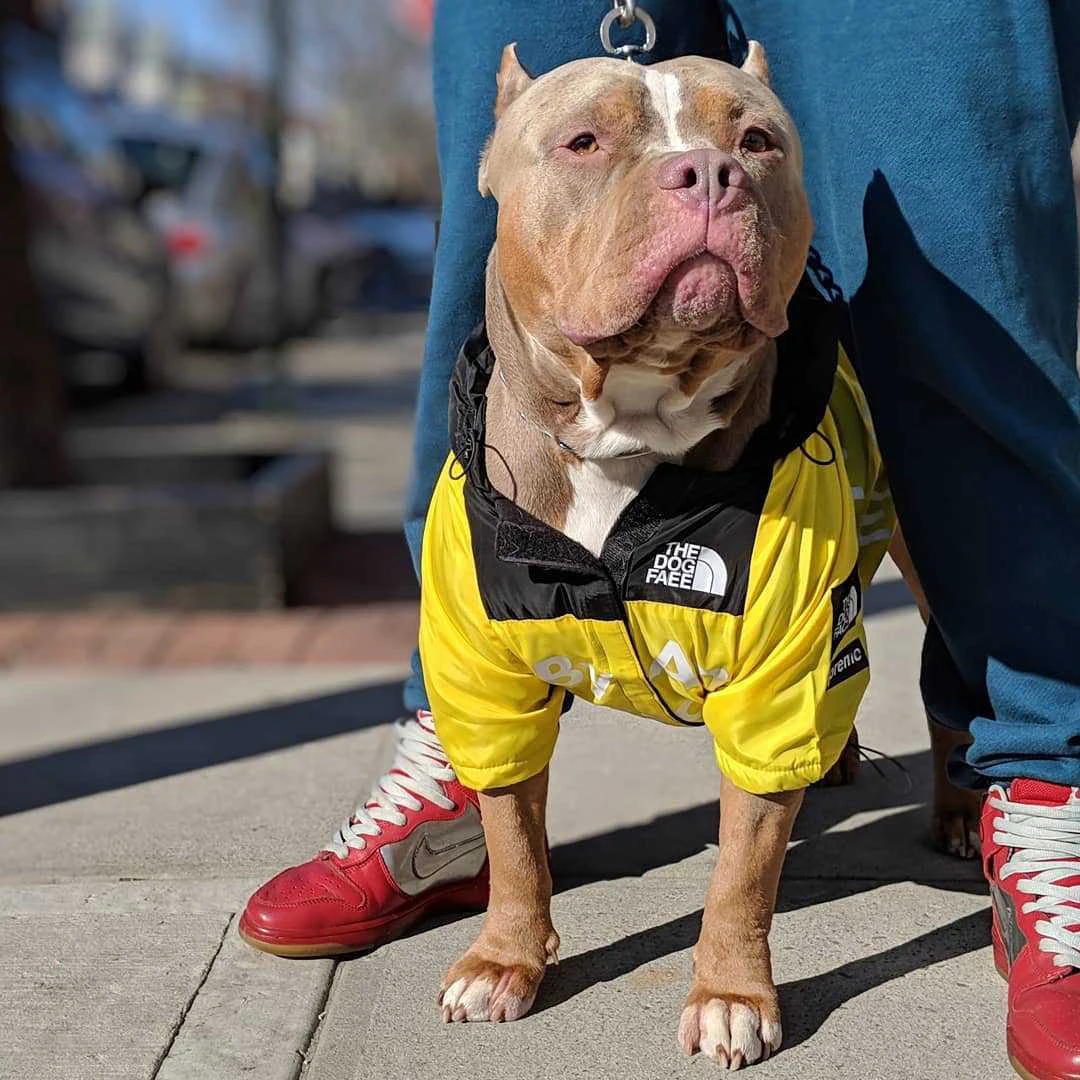 Уличная одежда для собак Куртки для собак ветрозащитная рубашка пальто для собак крупных пород ветровка спортивный щенок питбуль бульдог Ropa Perro