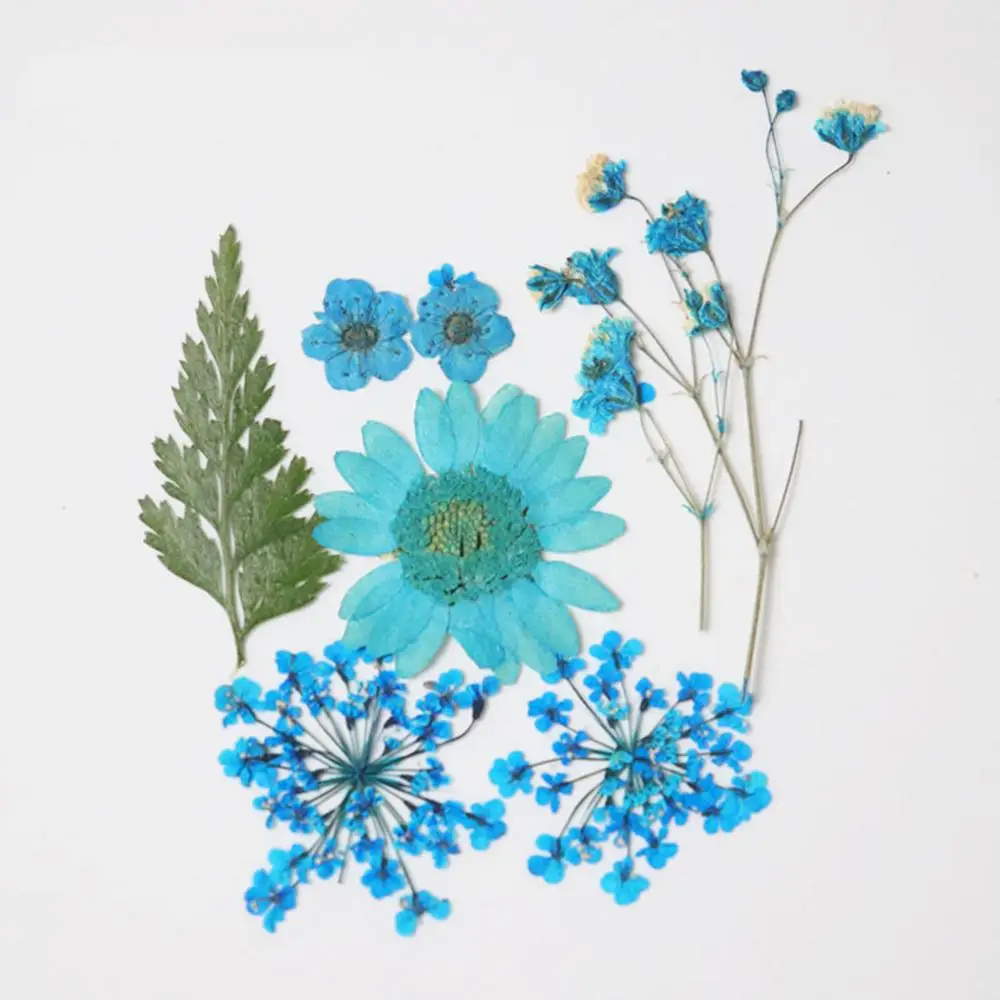 Doreen коробка красочные натуральные высушенные цветок смолы ювелирные изделия Ремесло наполнения материал 3,8 см x 2,5 см-0,7 см x 0,7 см, 1 пакет(7 шт/пакет - Цвет: Blue