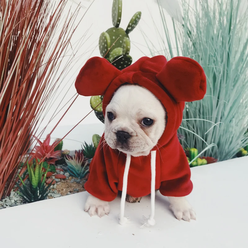 French Bulldog Clothes Winter Dog Hoodies Pug Clothing Pet Outfit Sweatshirt Cat Yorkie Poodle Pomeranian Schnauzer Corgi Coat - Color: Red