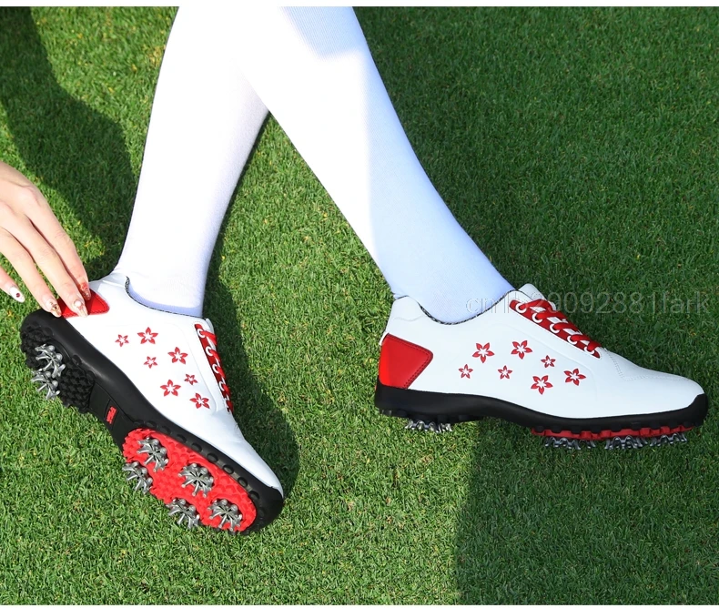 O1CN01Ld61C72GwgmEiOLXM_!!80289080