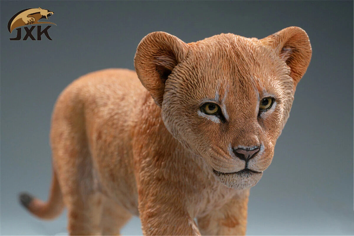 JXK 1/6 Lion Cub Figure Panthera Leo Africa Animal Model Adult