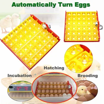 

36 Eggs Position Automatic Hatchery Machine 36 Capacity Chicken Eggs Incubator Trays with Auto Turn Motor for Eggs Quail Poultry