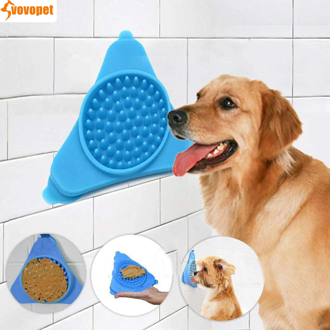 Why Does My Dog Lick The Wall