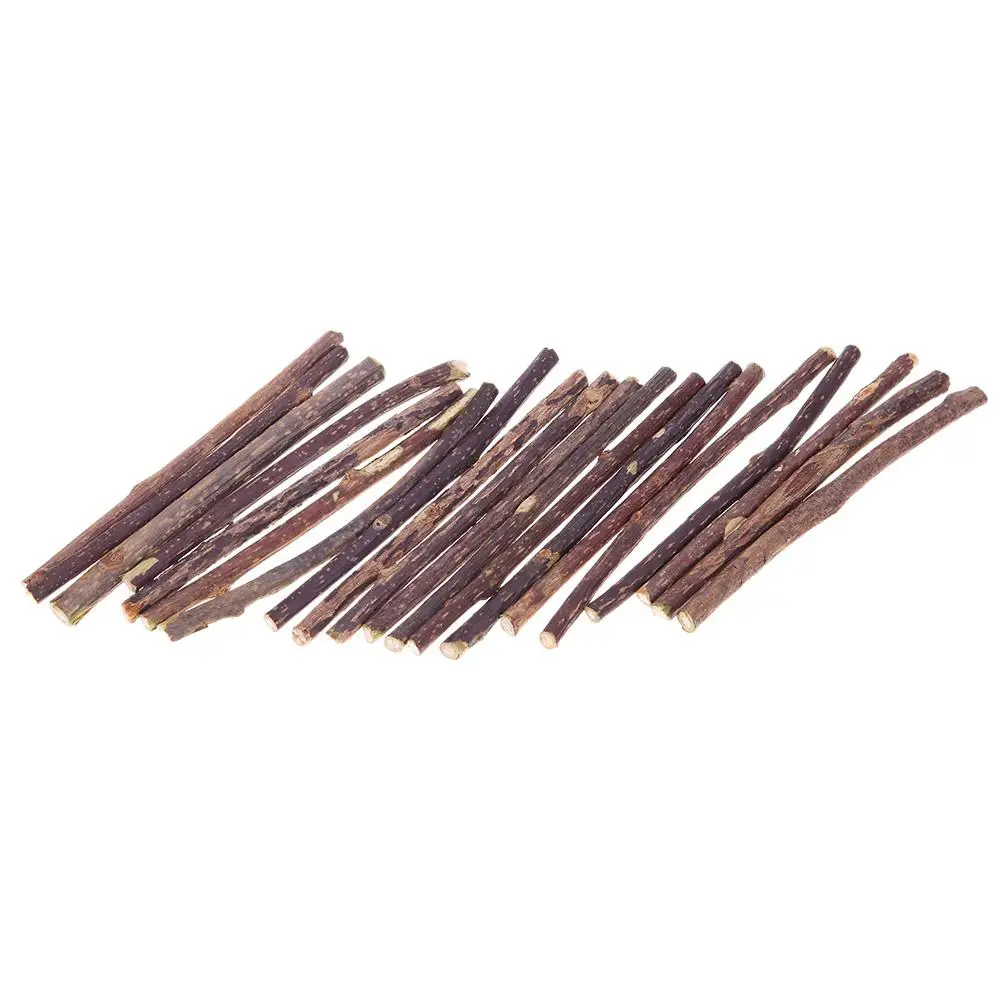 10/15/20pcs Cat Teeth Sticks Fruit Matatabi Cat Snacks Sticks Catnip Pet Cat Molar Toothpaste Rod Kitten Cleaning Teeth Tool