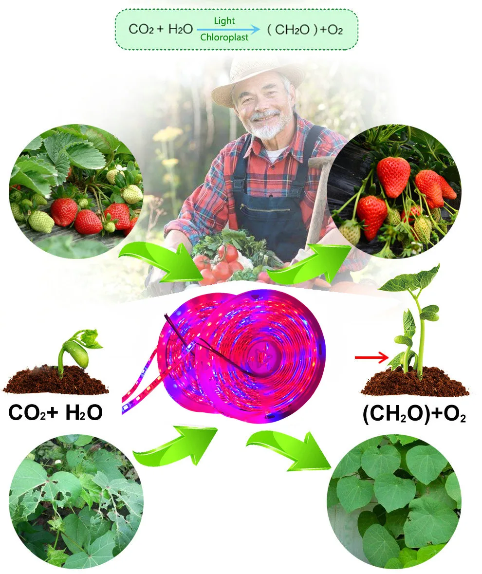 IMG_0672_副本_副本