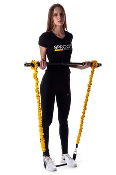 

Functional simulator SPR trainer