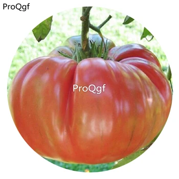 

Ngryise 6000Pcs A Set Brandywine Pink Tomato