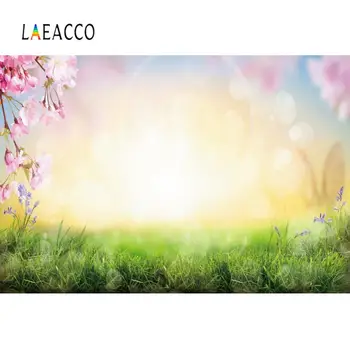 

Laeacco Pink Green Grass Polka Dots Light Bokeh Spring Flowers Dreamy Scenic Photographic Background Photo Backdrop Photo Studio