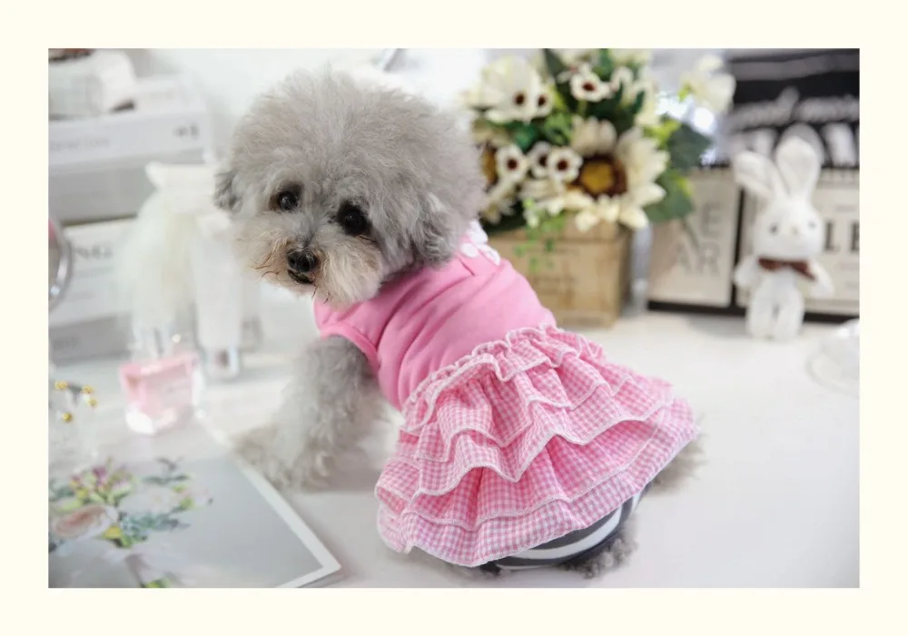 O1CN01srzkO0219U5fEMnDV_!!323036942 (1)