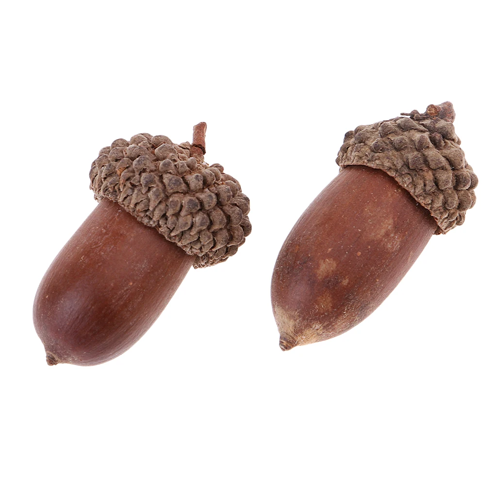 20Pcs Natural Mini Acorns Dried Flowers Christmas Accents Home Table Decoration Ornaments Rustic Crafts