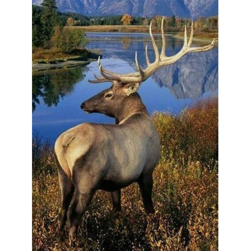 Искусственный речной пейзаж 5D алмазная живопись своими руками Deers круглая