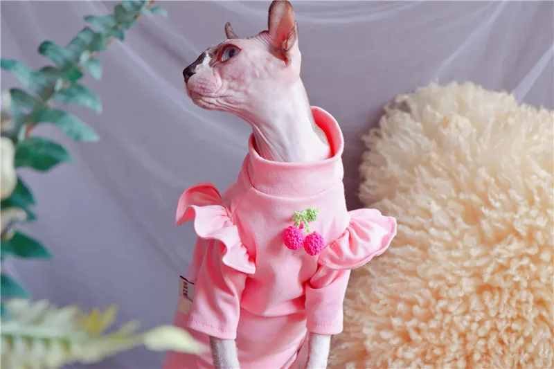 Extremely adorable, strawberry sphynx cat dress/shirt