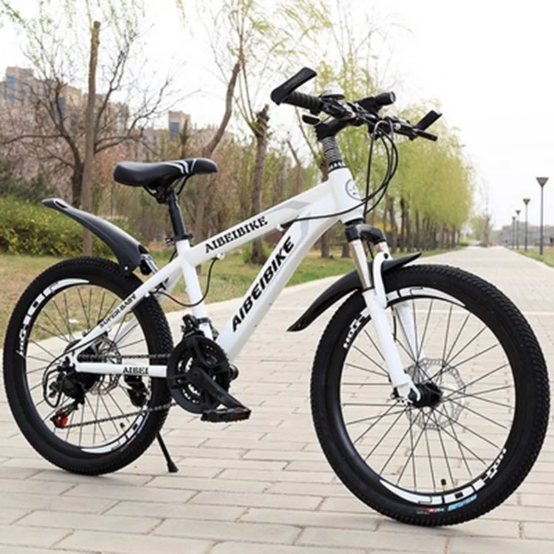 22 inch cycle