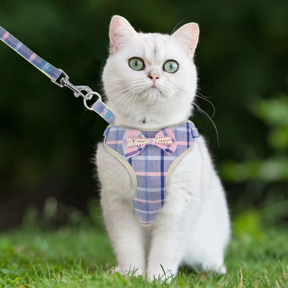 Милый маленький щенок шлейка для кошек мягкая сетка собака, кошка, котенок ремни поводок набор для Чихуахуа Мопс Маленькие Средние собаки шлейка для кошек жилет