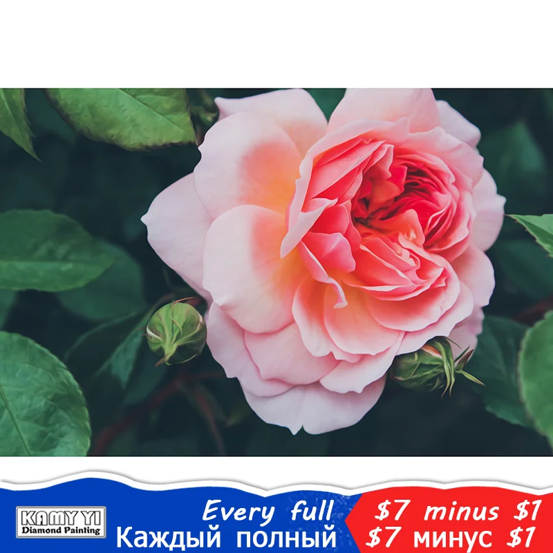 Алмазная вышивка алмазная живопись цветок розовая роза фотообои 5D DIY Вышивка