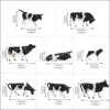 Evemodel 36pcs Model Trains HO Scale 1:87 Model Horses Cows Farm Animals with Model Figures 3