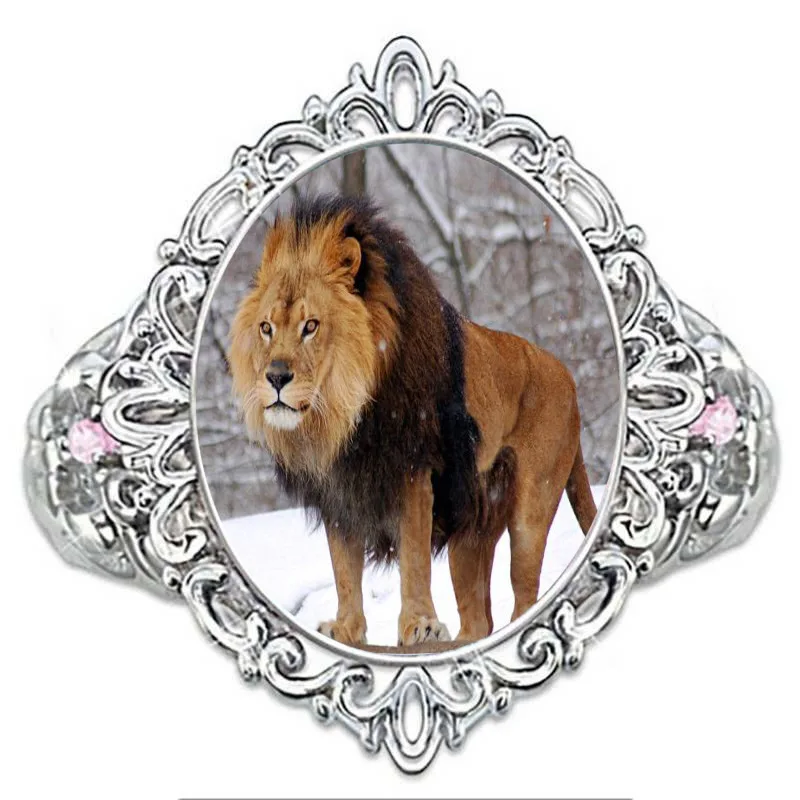 21788400252_751171350