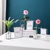 Nordic Hydroponic Glass Vase Wrought Iron Vase Photo Frame Decoration Table Flower Vases Decoration Home Metal Plant Holder 2