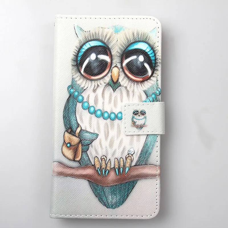 DEXP B160 BS150 G150 G155 Z155 Z255 Ixion ML245 Electron ML450 Super Force Case PU Leather Retro Flip Cover Magnetic Wallet - Цвет: owl