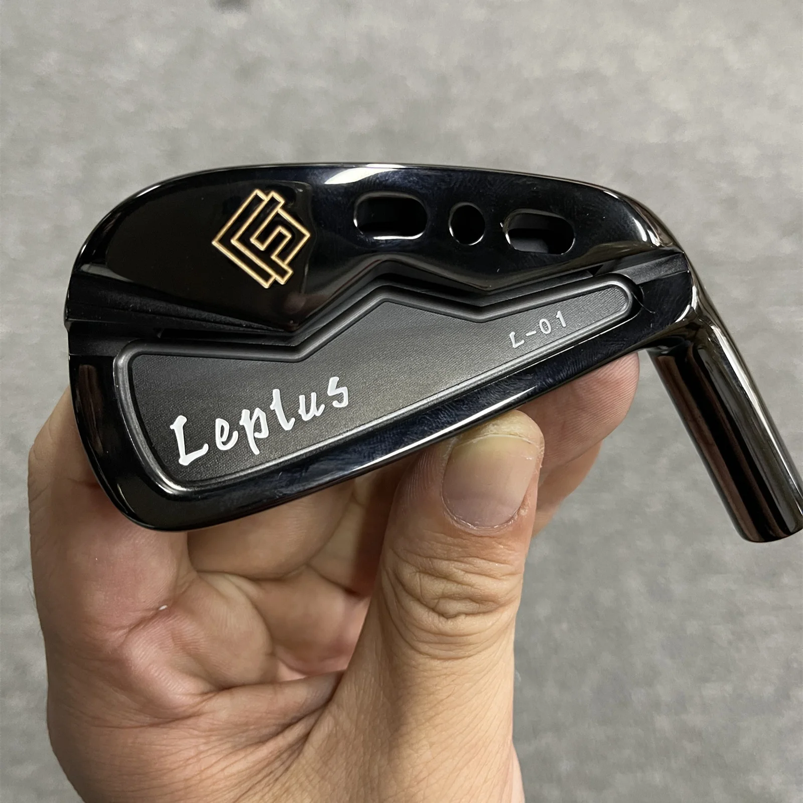 New Golf Irons Real Fujimoto Irons Leplus L01 (5 6 7 8 9 10 P) With