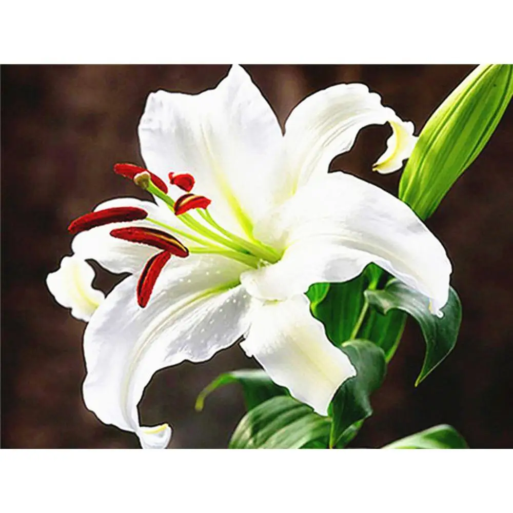 Алмазная картина полный набор 5D Вышивка ручной работы одинокий цветок вышивка