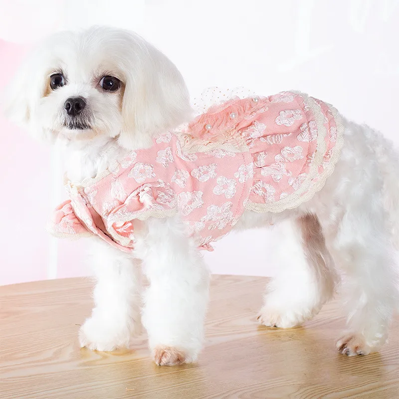 Shihtzu, Pomeranian, Poodle, roupa pequena dos cães, moda